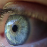 eyeseeing