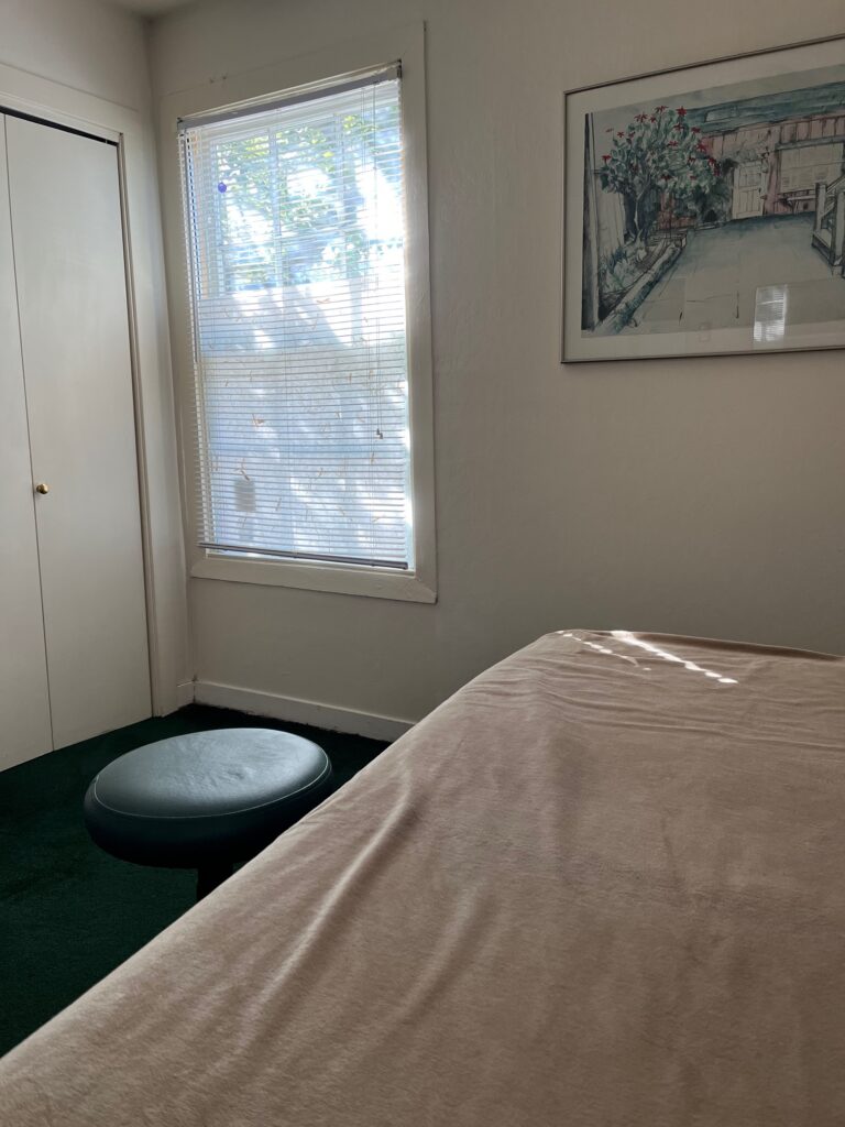 Hummingbird Bodyworks massage table